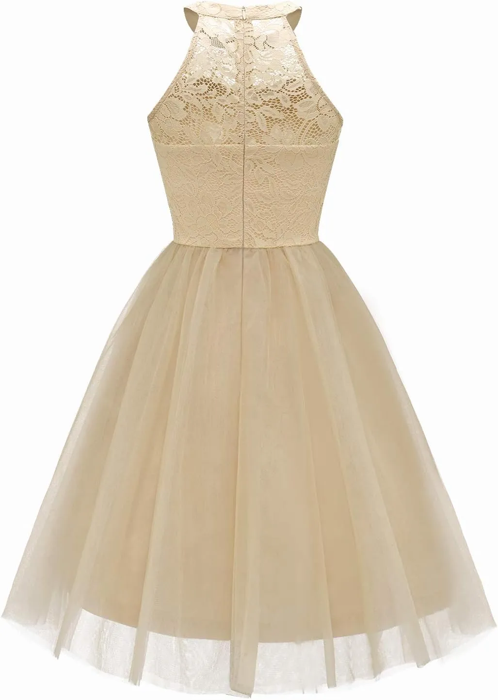 Dressystar Women's Short Halter Cocktail Party Dress Lace Tulle Prom Gown